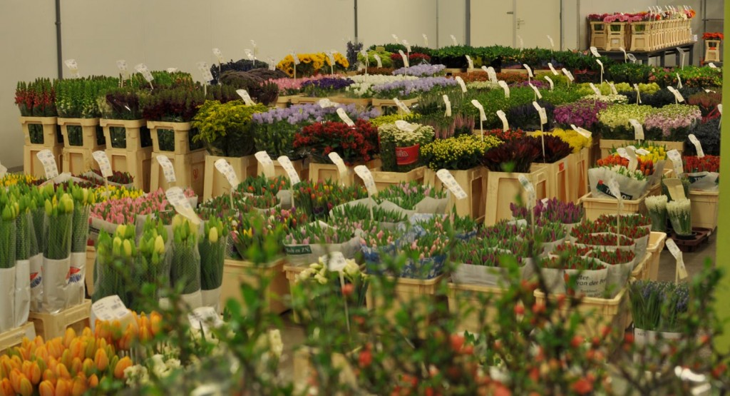 Bloemenpresentatie Ton de Jeu